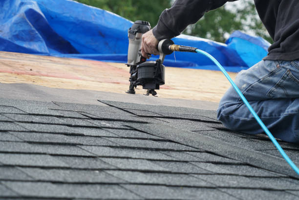 Best Roof Waterproofing Services  in La Harpe, IL