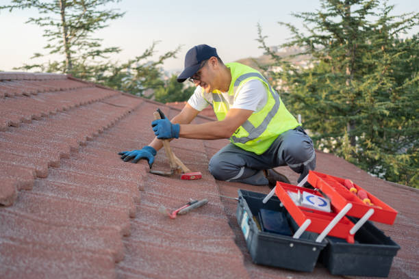 Best Gutter Installation and Roofing  in La Harpe, IL